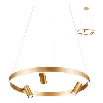 Redo 01-2490 - LED-kattokruunu johdossa SUMMIT LED/38W/230V CRI 90 halkaisija 61,6 cm kulta