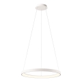 Redo 01-2672 - himmennettävä LED-riippuvalaisin vaijerilla ICONIC LED/50W/230V, halkaisija 58 cm, valkoinen