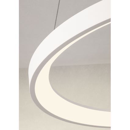 Redo 01-2672 - himmennettävä LED-riippuvalaisin vaijerilla ICONIC LED/50W/230V, halkaisija 58 cm, valkoinen