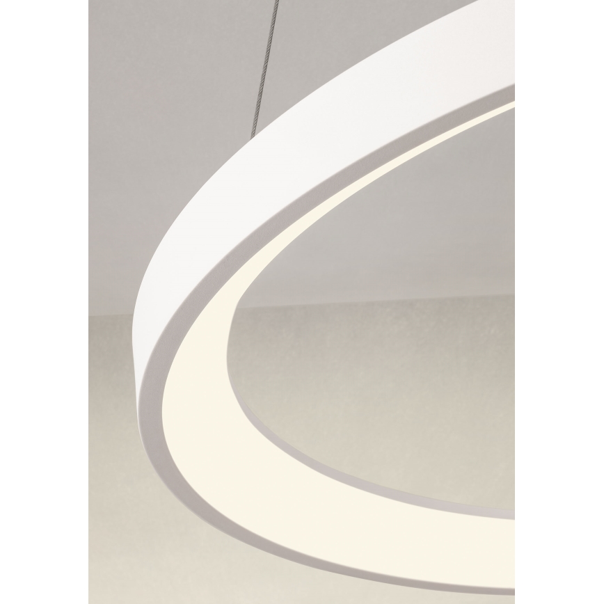 Redo 01-2672 - himmennettävä LED-riippuvalaisin vaijerilla ICONIC LED/50W/230V, halkaisija 58 cm, valkoinen