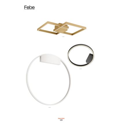 Redo 01-2835 - Himmennettävä LED-seinävalaisin FEBE LED/24W/230V kulta