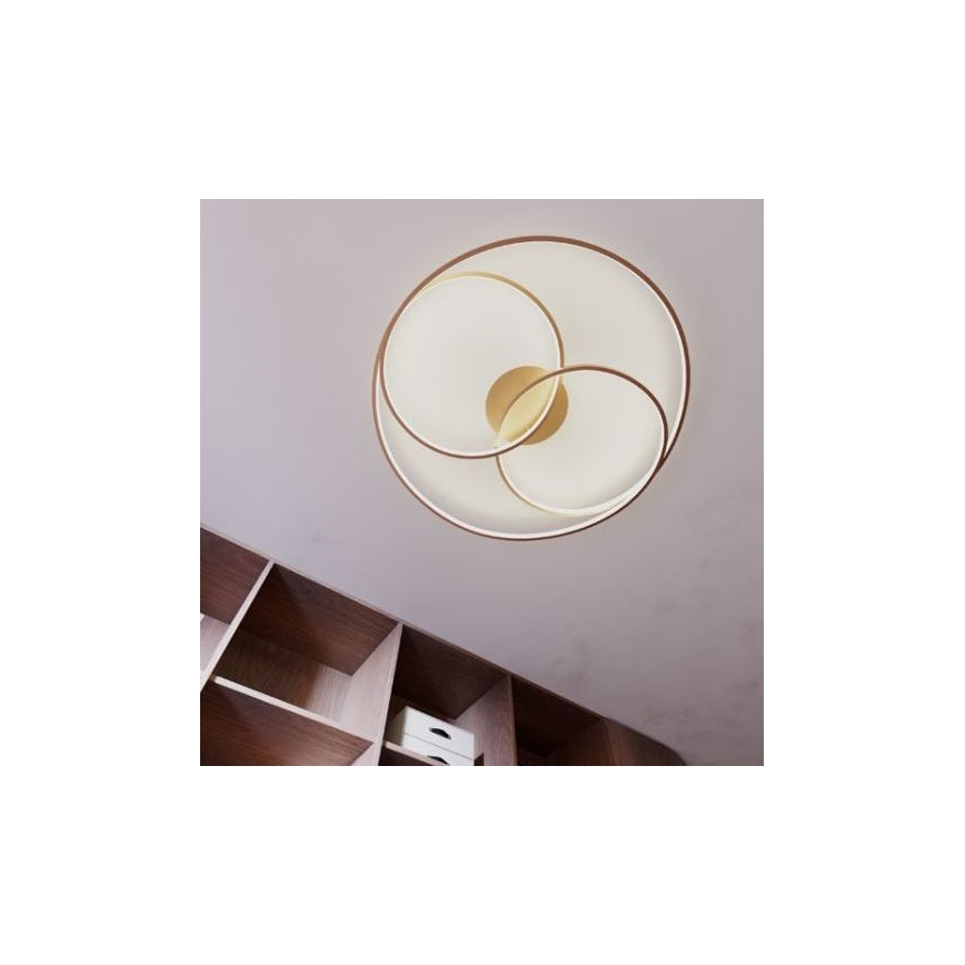 Redo 01-2973 - LED-kattovalaisin CENTRIX LED/92W/230V pronssi