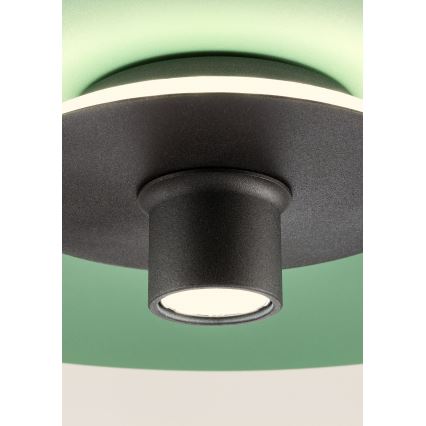Redo 01-3019 - LED-riippuvalaisin vaijerilla LARS LED/14W/230V + LED/10W, halkaisija 60 cm, CRI 90, vihreä