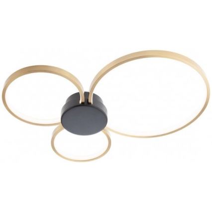 Redo 01-3105 - LED-kattovalaisin ATOM LED/20W/230V