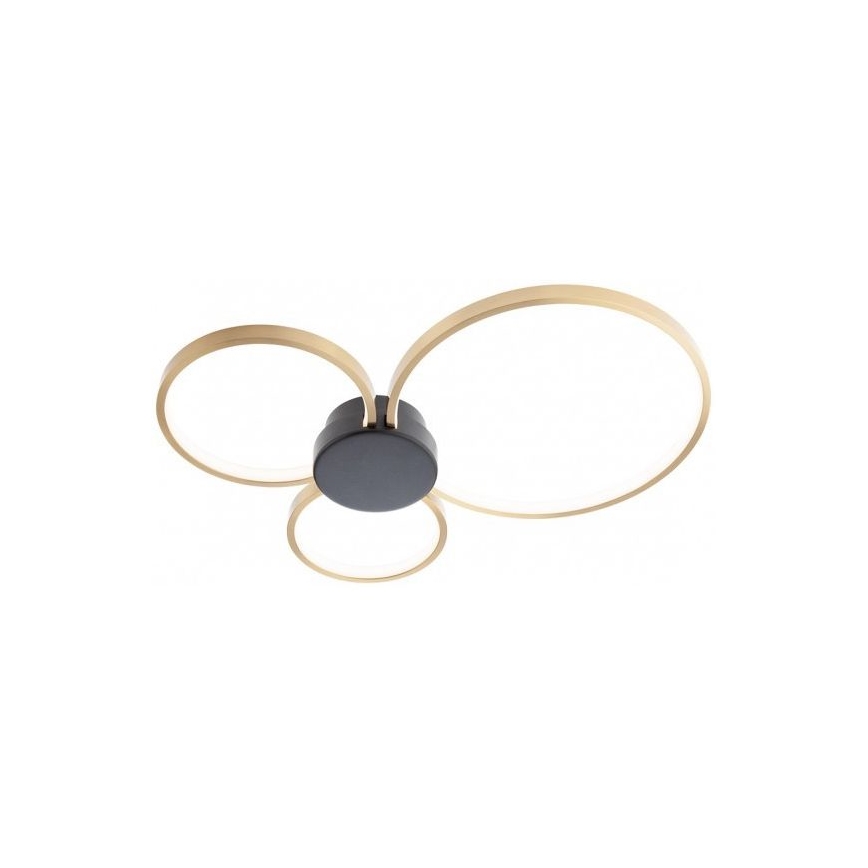 Redo 01-3105 - LED-kattovalaisin ATOM LED/20W/230V