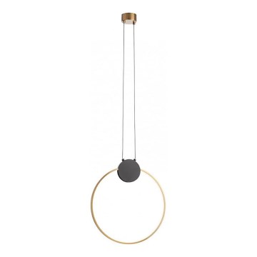 Redo 01-3106 - LED-kattokruunu johdossa ATOM LED/11W/230V halkaisija 40 cm