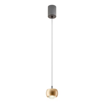 Redo 01-3547 - LED-kattokruunu johdossa AVES LED/12W/230V halkaisija 9,6 cm CRI 90 kulta