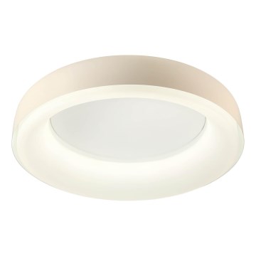 Redo 01-3723 - LED-kattovalaisin DIP LED 40W/230V 2700/3000/4000/5000/6500K CRI 90 halkaisija 62,4 cm beige