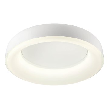 Redo 01-3941 - LED-kattovalaisin DIP-LED/40W/230V 2700/3000/4000/5000/6500K CRI 90 halkaisija 62,4 cm valkoinen
