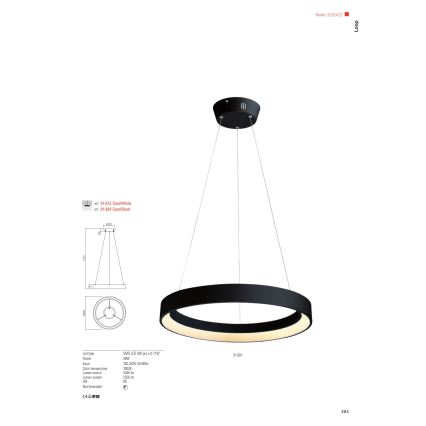 Redo 01-672 - LED-kattokruunu johdossa LOOP LED/48W/230V halkaisija 60 cm valkoinen