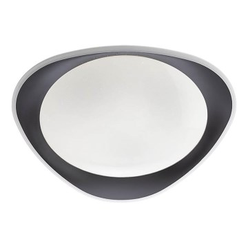 Redo 05-922 - LED-kattovalaisin VERENA LED/24W/230V antrasiitti