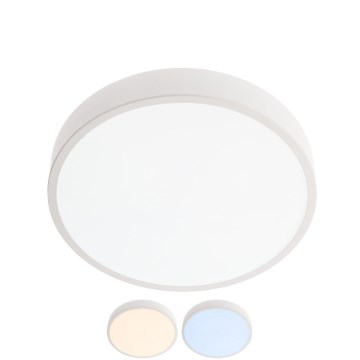 Redo 05-928 - LED-kattovalaisin NUPPI LED/24W/230V 3000K-6500K 30 cm valkoinen