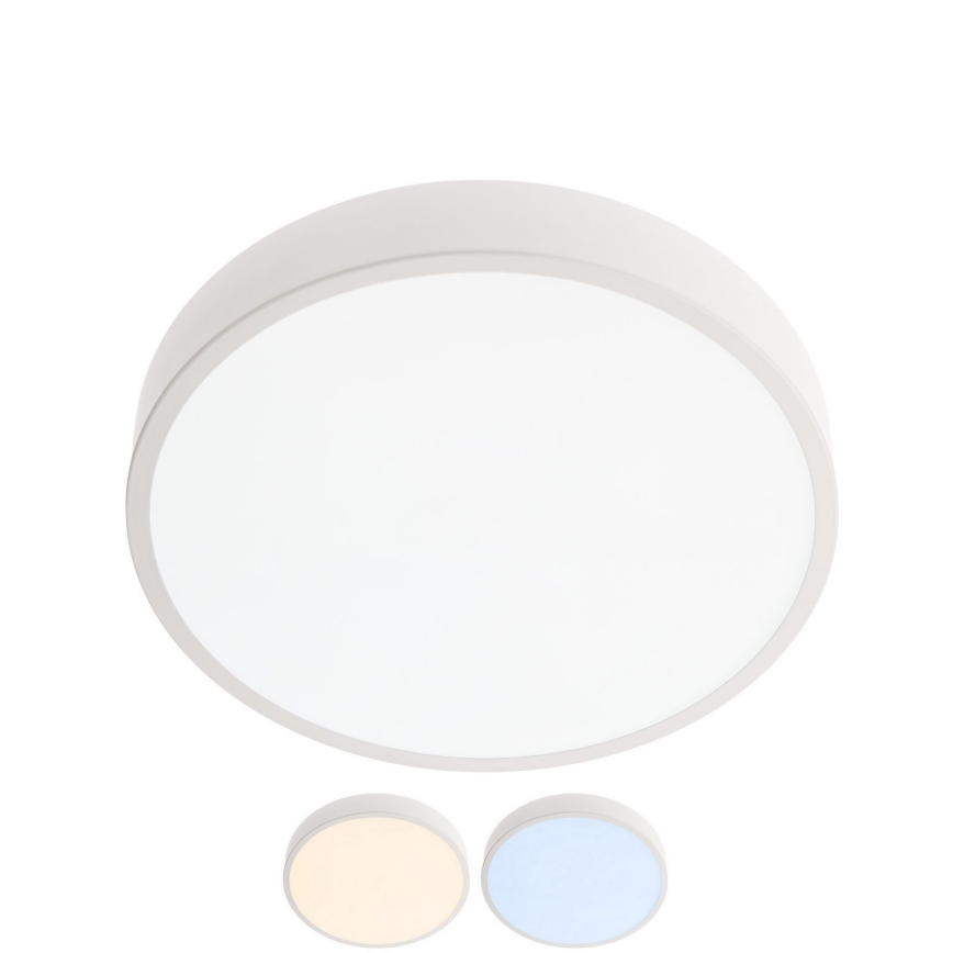 Redo 05-928 - LED-kattovalaisin NUPPI LED/24W/230V 3000K-6500K 30 cm valkoinen