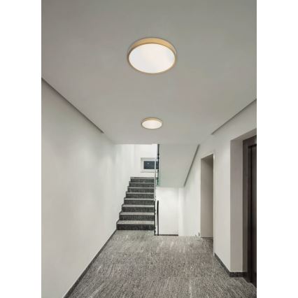 Redo 05-932 - LED-kattovalaisin KNOB LED/36W/230V 3000K-6500K 40 cm kulta