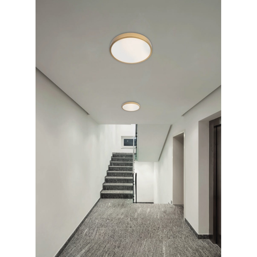 Redo 05-932 - LED-kattovalaisin KNOB LED/36W/230V 3000K-6500K 40 cm kulta