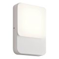Redo 90128 - COLIN LED-ulkoseinävalaisin 9W/230V 4000K IP54 valkoinen