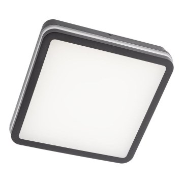 Redo 90288 - LED-ulkokattovalaisin ISOLA LED/24W/230V 26x26 cm 3000/4000/6500K IP54 antrasiitti