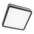 Redo 90292 - LED-ulkovalaisin kattoon, liiketunnistimella ISOLA LED/24W/230V 26x26 cm 3000/4000/6500K IP54 antrasiitti