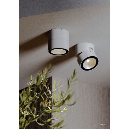 Redo 90626 - SHAFT LED ulkokohdevalaisin 13W/230V 3000K Ø 9 cm IP65, valkoinen