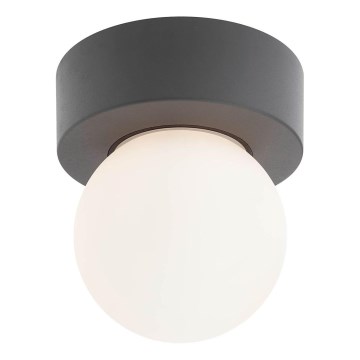 Redo 90641 - Ulkokattovalo BULK 1xE27/28W/230V IP44 antrasiitti
