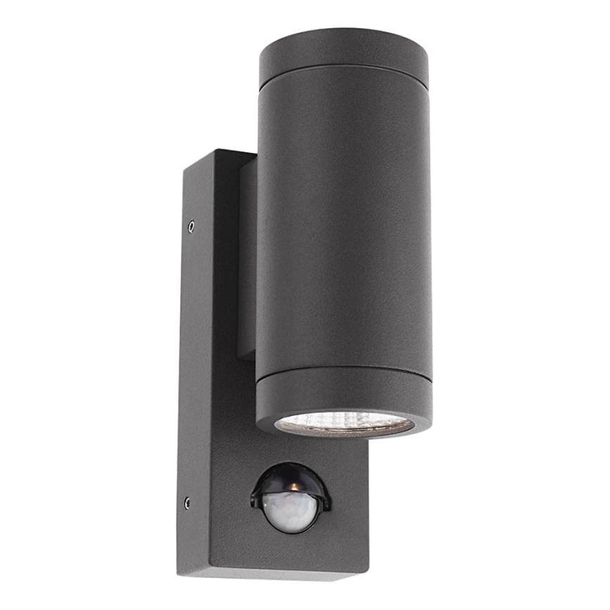 Redo 9453 - LED Ulkovalo anturilla VINCE 2xLED/3W/230V IP54 antrasiitti