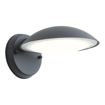 Redo 9617 - LED ulkoseinälamppu CAPP LED/12W/230V IP54 antrasiitti