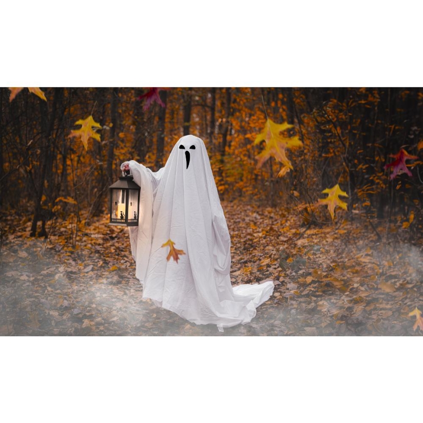 LED Koriste HALLOWEEN LED/3xAAA/lämpimänvalkoinen lyhty