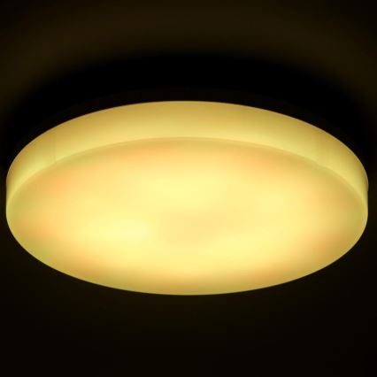 LED RGBW Himmennettävä kylpyhuoneen kattovalaisin LED/20W/230V Wi-Fi IP44 valkoinen