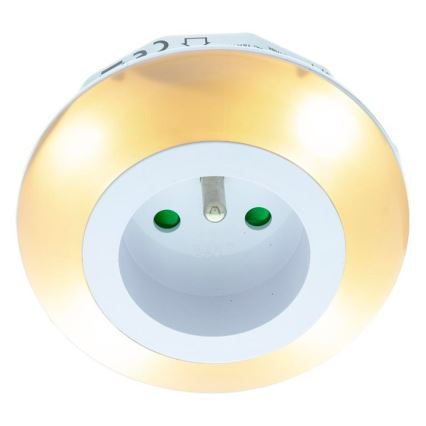 LED Suuntavalo hämärätunnistimella ja pistorasialla LED/0,6W/230V