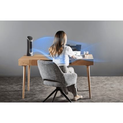 Rowenta - Pylvässekoitin EOLE COMPACT 30W/230V musta