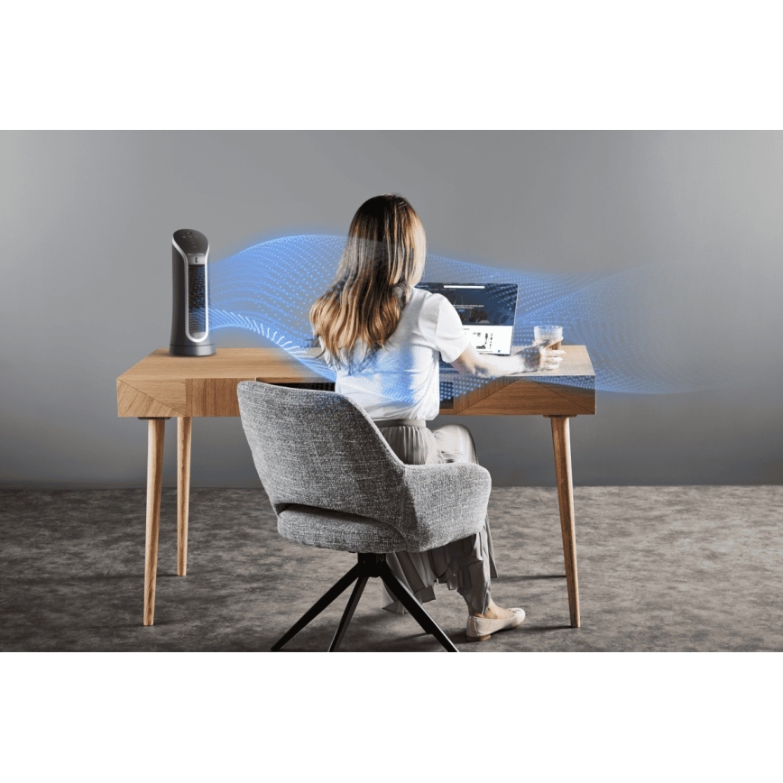 Rowenta - Pylvässekoitin EOLE COMPACT 30W/230V musta