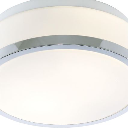 Searchlight - Kylpyhuoneen kattovalo DISC 1xE27/60W/230V IP44