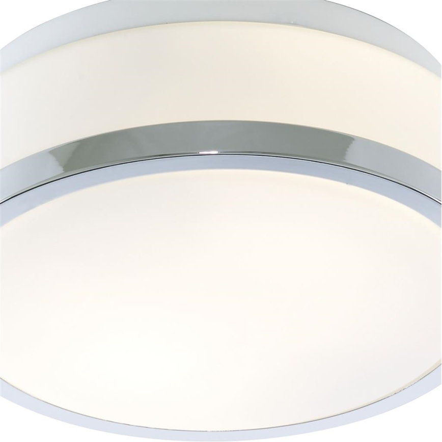 Searchlight - Kylpyhuoneen kattovalo DISC 1xE27/60W/230V IP44