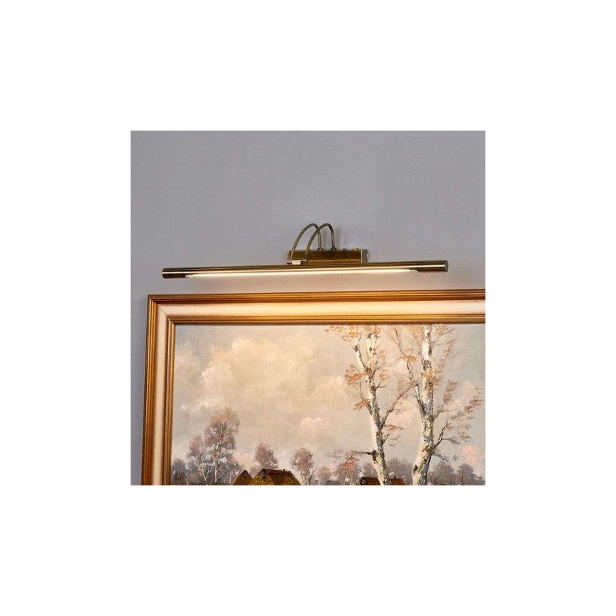 Searchlight - LED-kuvavalo LED/14W/230V messinki