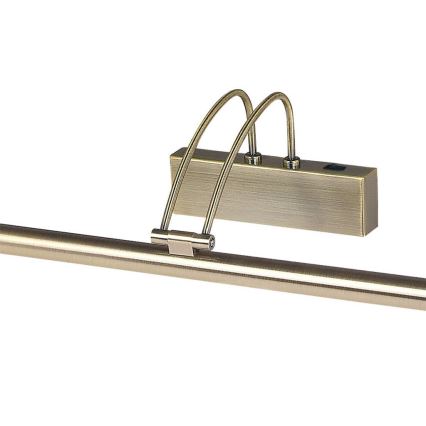 Searchlight - LED-kuvavalo LED/14W/230V messinki