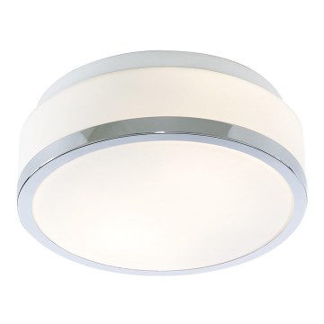 Searchlight - Kylpyhuoneen kattovalo DISC 1xE27/60W/230V IP44