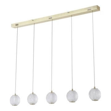 Searchlight - LED-riippuvalaisin vaijerilla ALLURE 5xLED/4,2W/230V