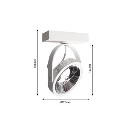 Seinävalaisin LUGAR 1xAR111 - GU10/25W/230V