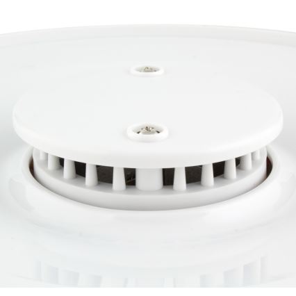 Sencor - Hedelmien kuivuri lämpösäätimellä  250W/230V