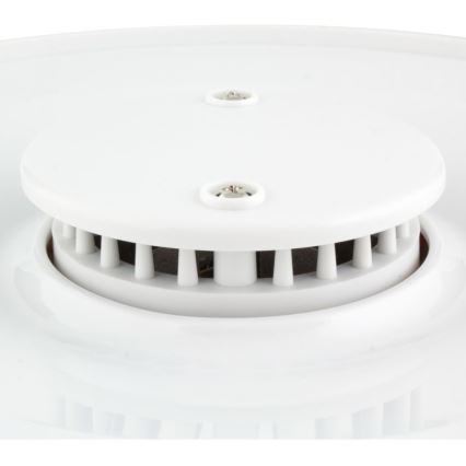 Sencor - Ruoankuivain 250W/230V