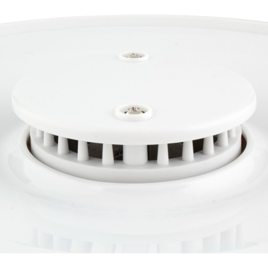 Sencor - Ruoankuivain 250W/230V
