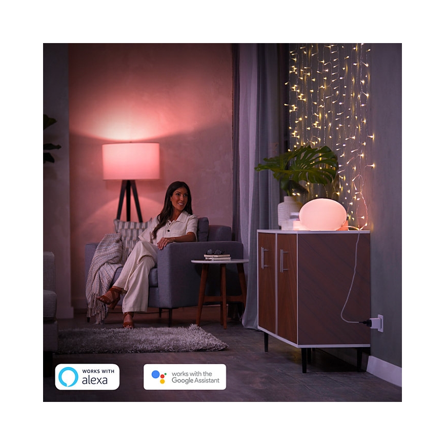 SETTI 2x Älykäs pistoke Philips Hue Smart plug