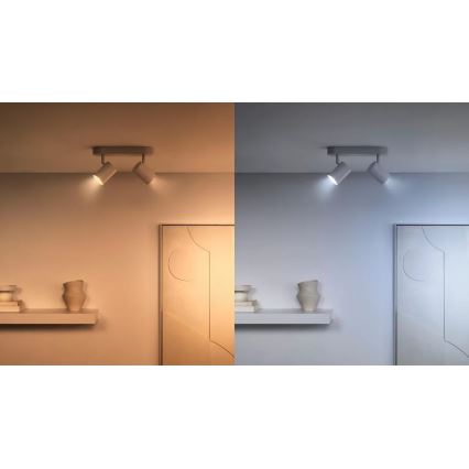 SETTI 2x Himmennettävä LED-polttimo PAR16 GU10/4,7W/230V 2700-6500K CRI 90 Wi-Fi - WiZ