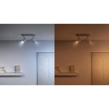 SETTI 2x Himmennettävä LED-polttimo PAR16 GU10/4,7W/230V 2700-6500K CRI 90 Wi-Fi - WiZ