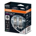 SETTI 2x LED Autopolttimo EASY GEN H7 PX26d/16W/12V 6500K - Osram