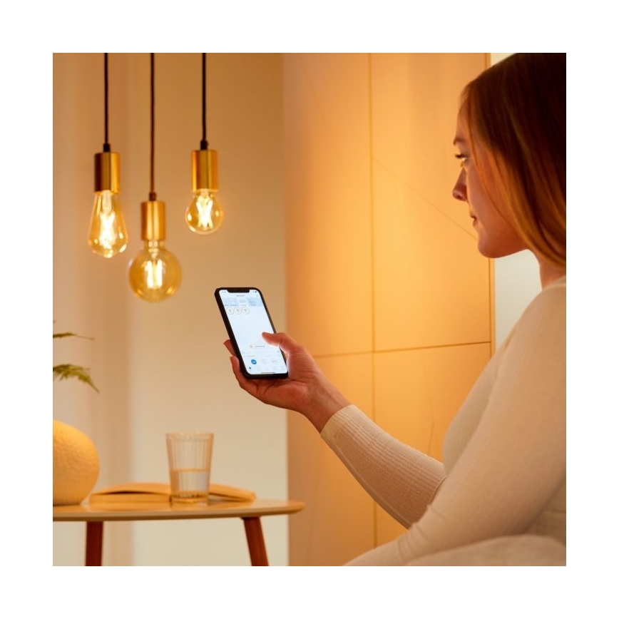 SETTI 2x LED Himmennettävä polttimo VINTAGE FILAMENT ST64 E27/6,7W/230V 2000-5000K Wi-Fi - WiZ