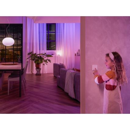 SETTI 2x seinäkytkinmoduuli Philips Hue SWITCH