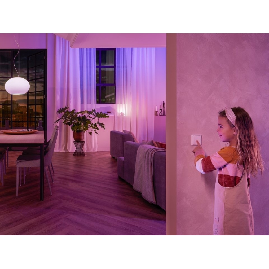 SETTI 2x seinäkytkinmoduuli Philips Hue SWITCH