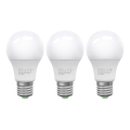 SETTI 3x LED-polttimo ECOLINE A60 E27/10W/230V 6500K - Brilagi