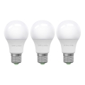 SETTI 3x LED-polttimo ECOLINE A60 E27/15W/230V 6500K - Brilagi